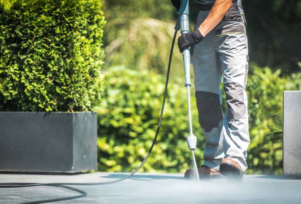 Best Driveway Pressure Washing  in Ainaloa, HI